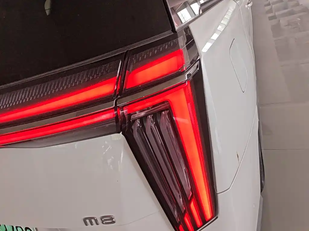 GAC Motor Trumpchi Xiangwang M8 — миниатюра 8