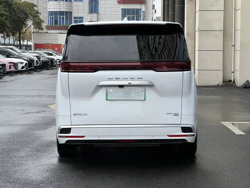 Denza Denza D9 — миниатюра 3