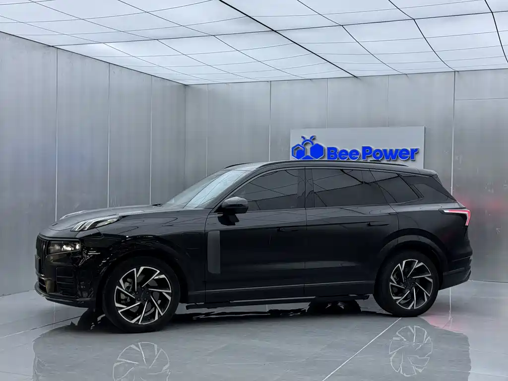 Lynk & Co 09 EM-P 2021 2.0T PHEV Halo мест
