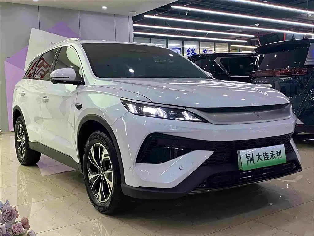 BYD Pro New Energy — миниатюра 3