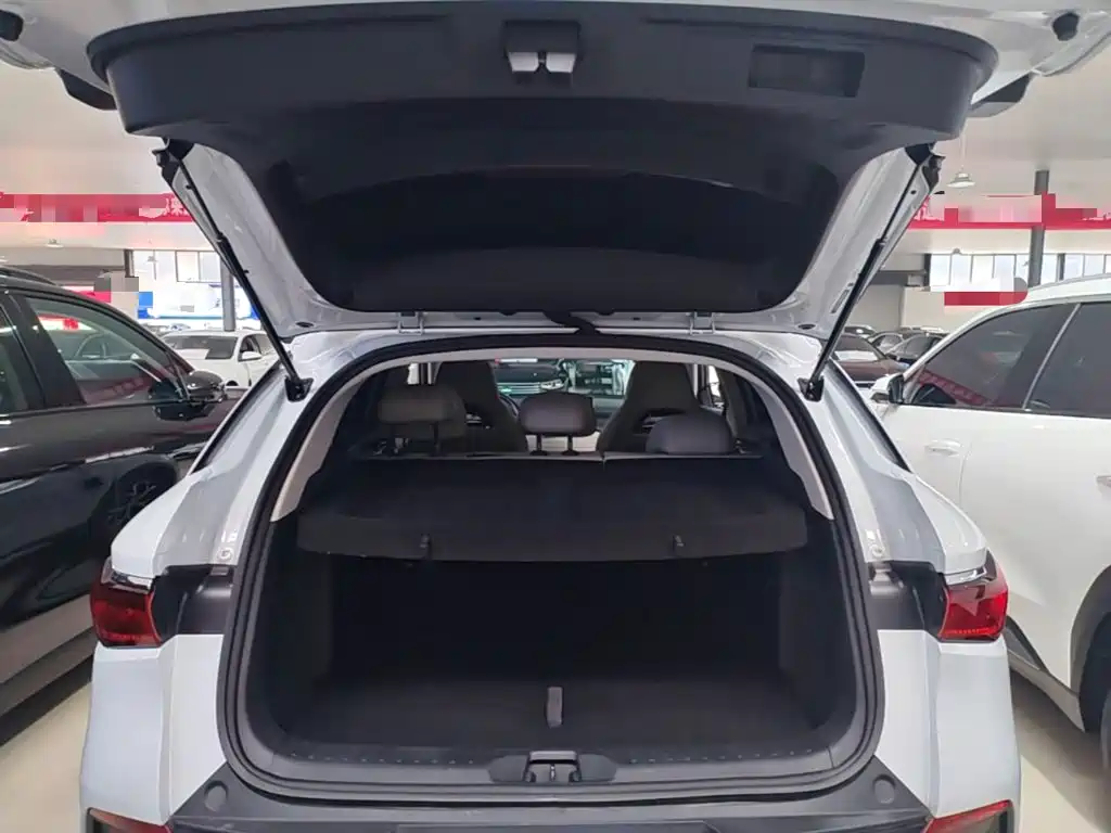 BYD Yuan Plus — миниатюра 19