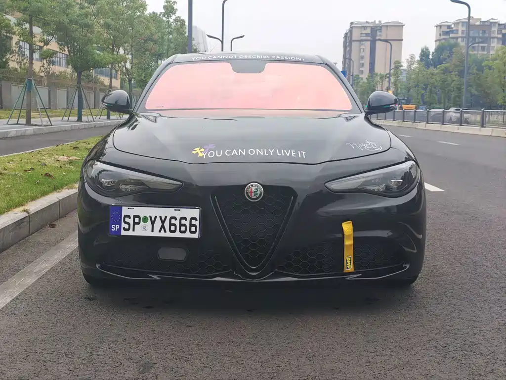 Alfa Romeo Giulia — миниатюра 2