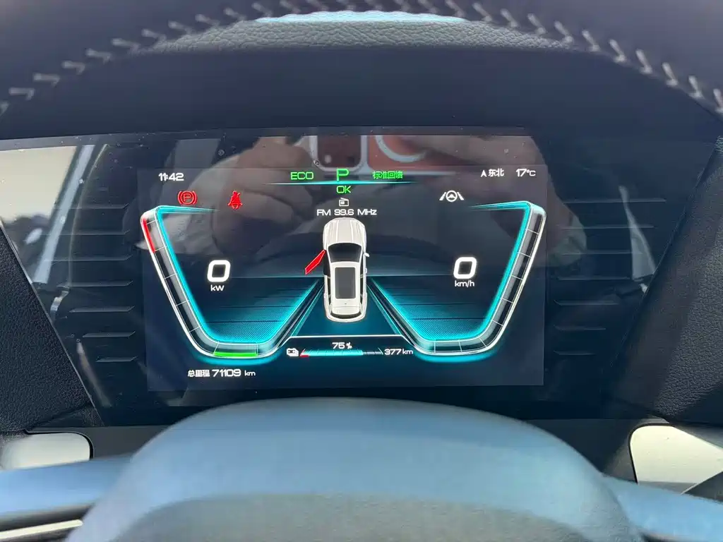 BYD Pro New Energy — миниатюра 13