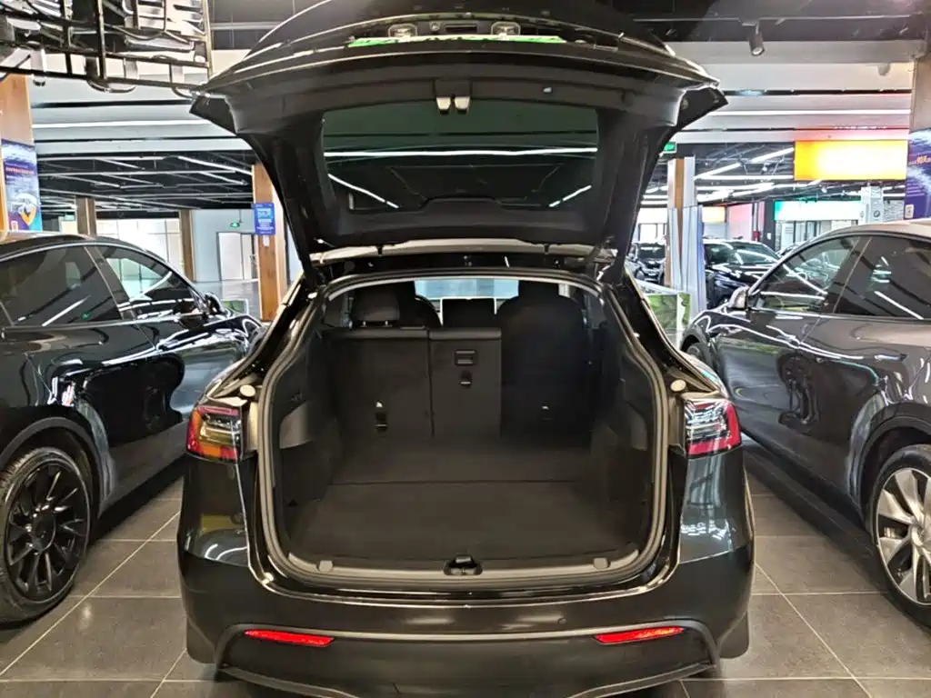 Tesla Model Y — миниатюра 19