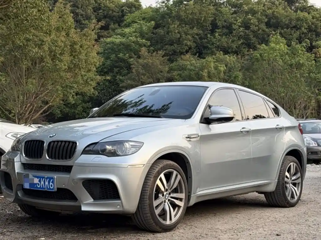BMW X6 M 2011