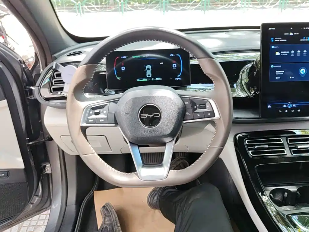 BYD Qin Plus PLUS 2024 DM-i 55KM Lead
