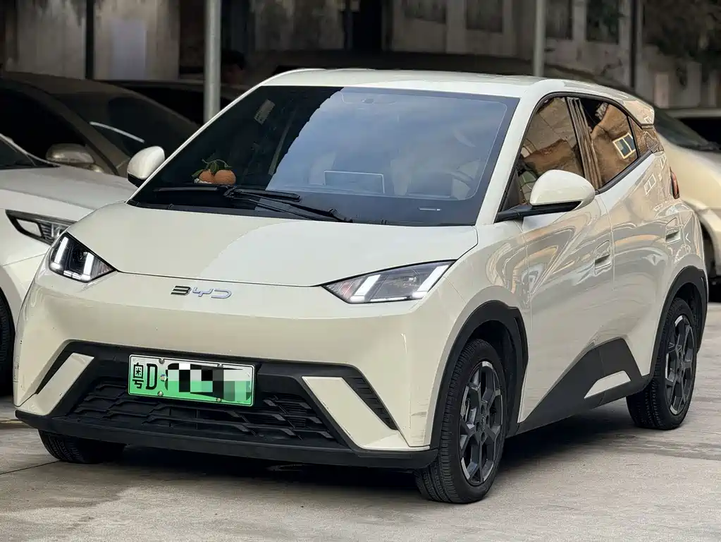 Byd Seagull 2024