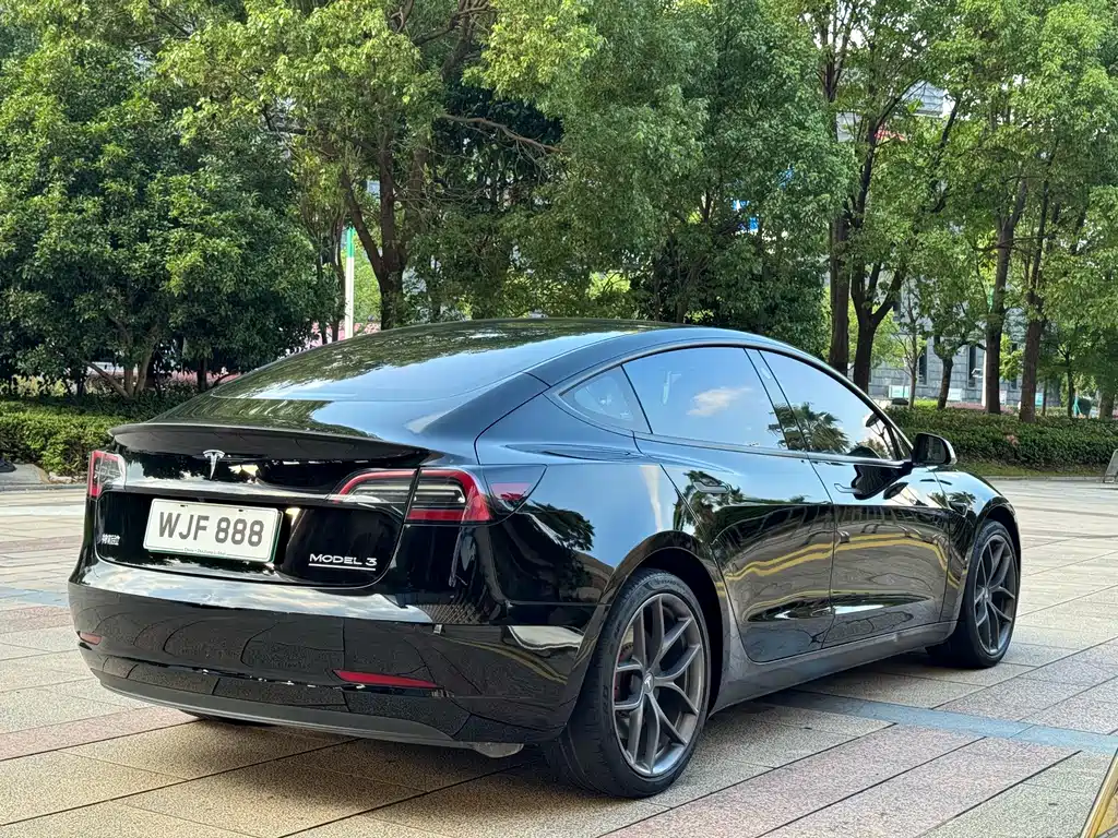 Tesla Model 3 — миниатюра 6