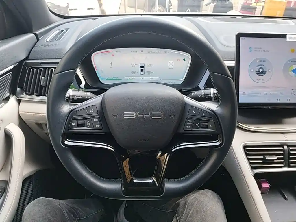 BYD PLUS New Energy — миниатюра 11