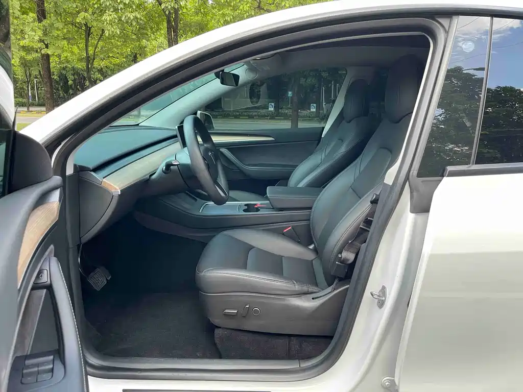Tesla Model Y — миниатюра 8