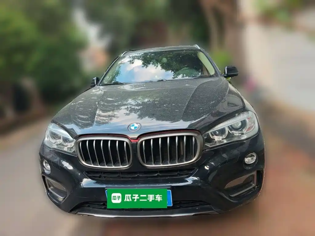BMW X6 — миниатюра 2