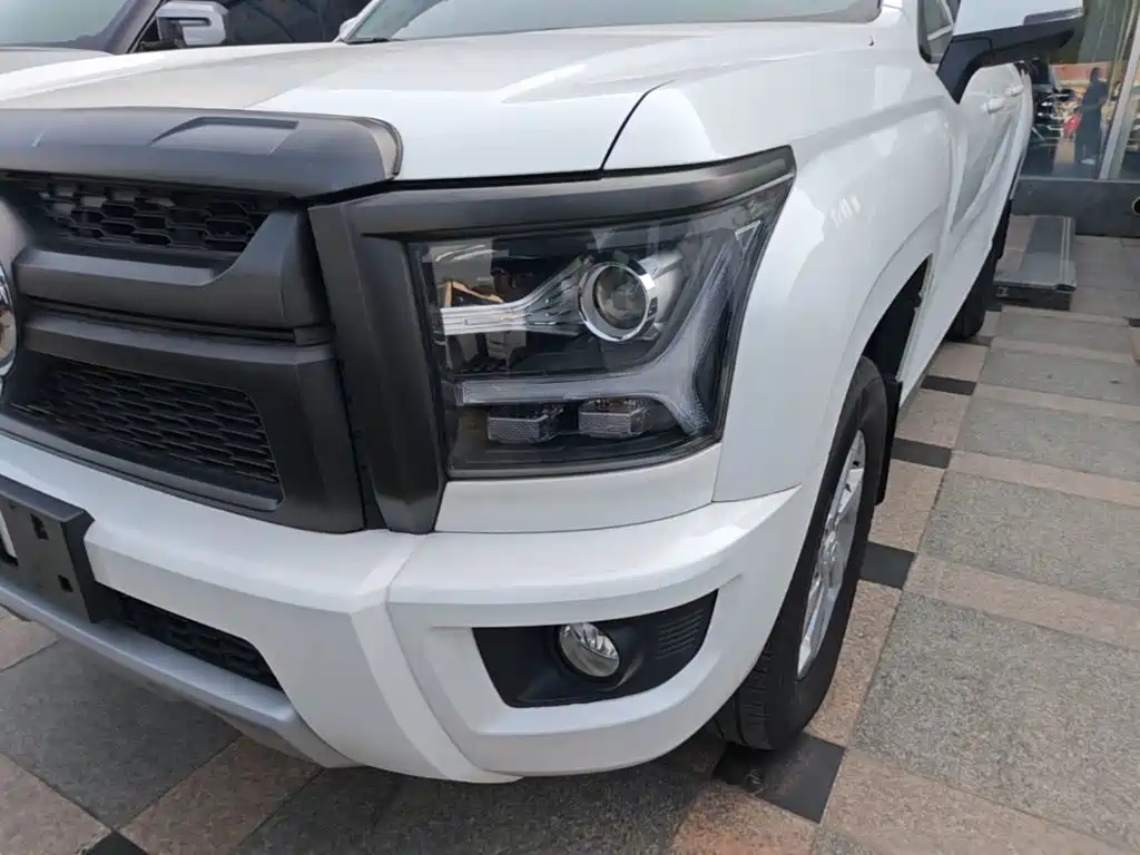 Great Wall King Kong Pao — миниатюра 24