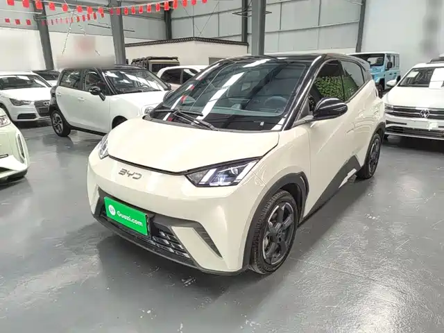 2024 BYD Seagull