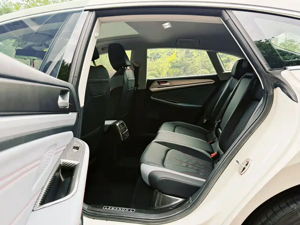 Volkswagen Lamando — миниатюра 9