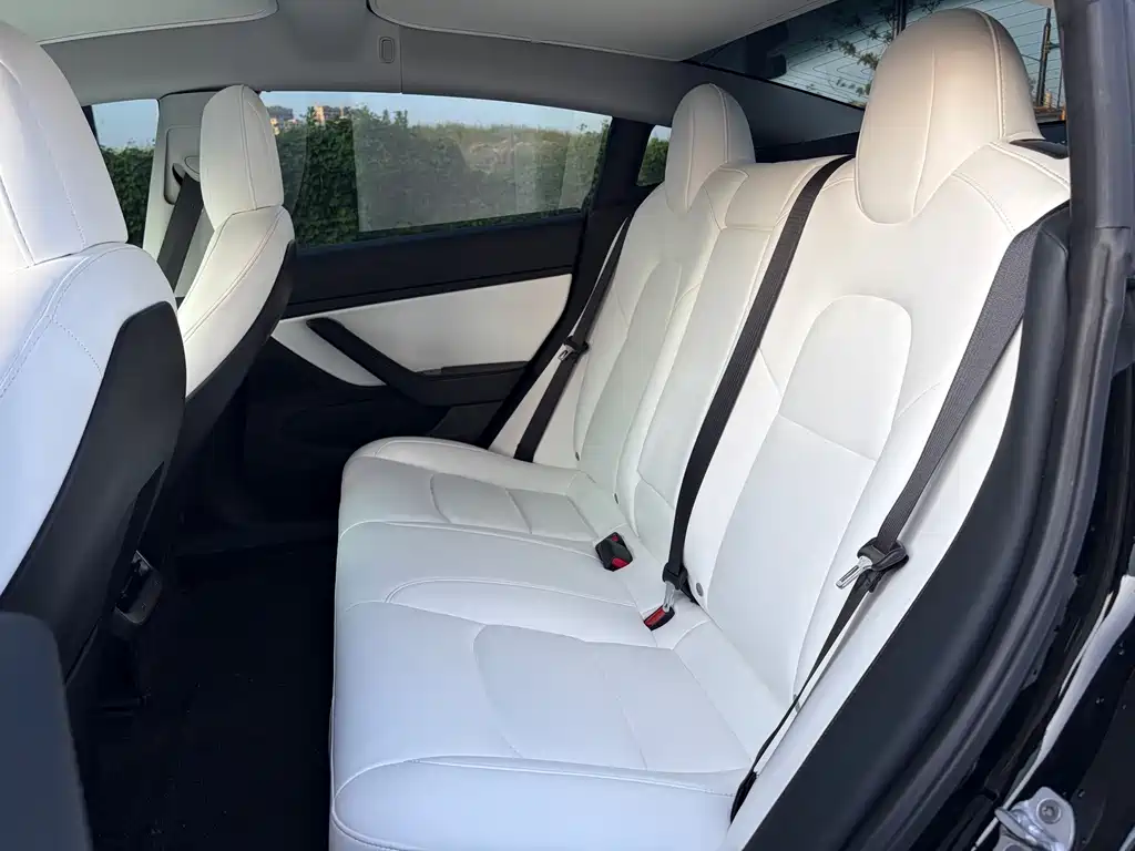Tesla Model 3 — миниатюра 7