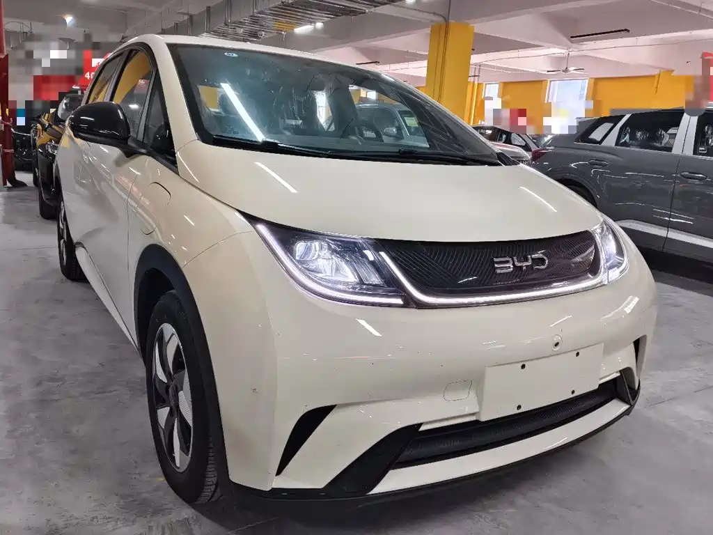 BYD Dolphin — миниатюра 4