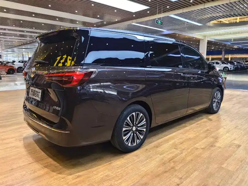 Buick GL8 — миниатюра 27