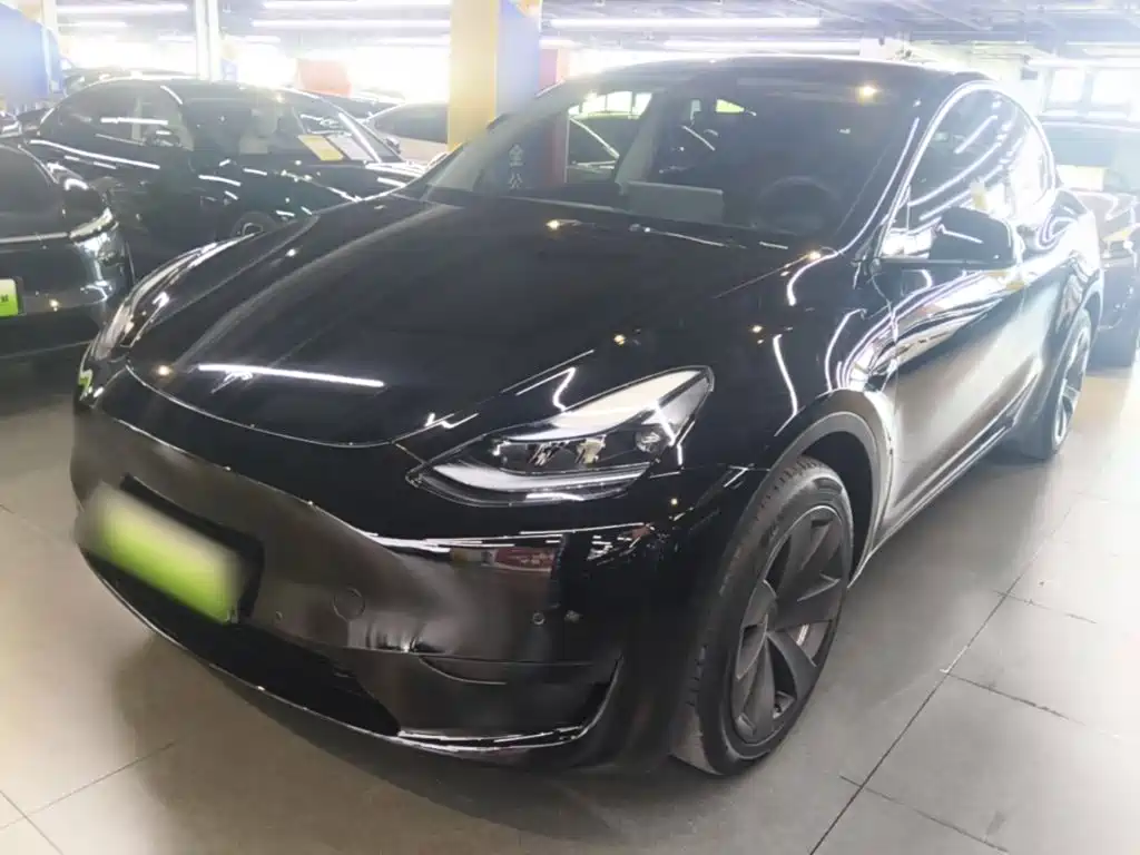 Tesla Model Y — миниатюра 2