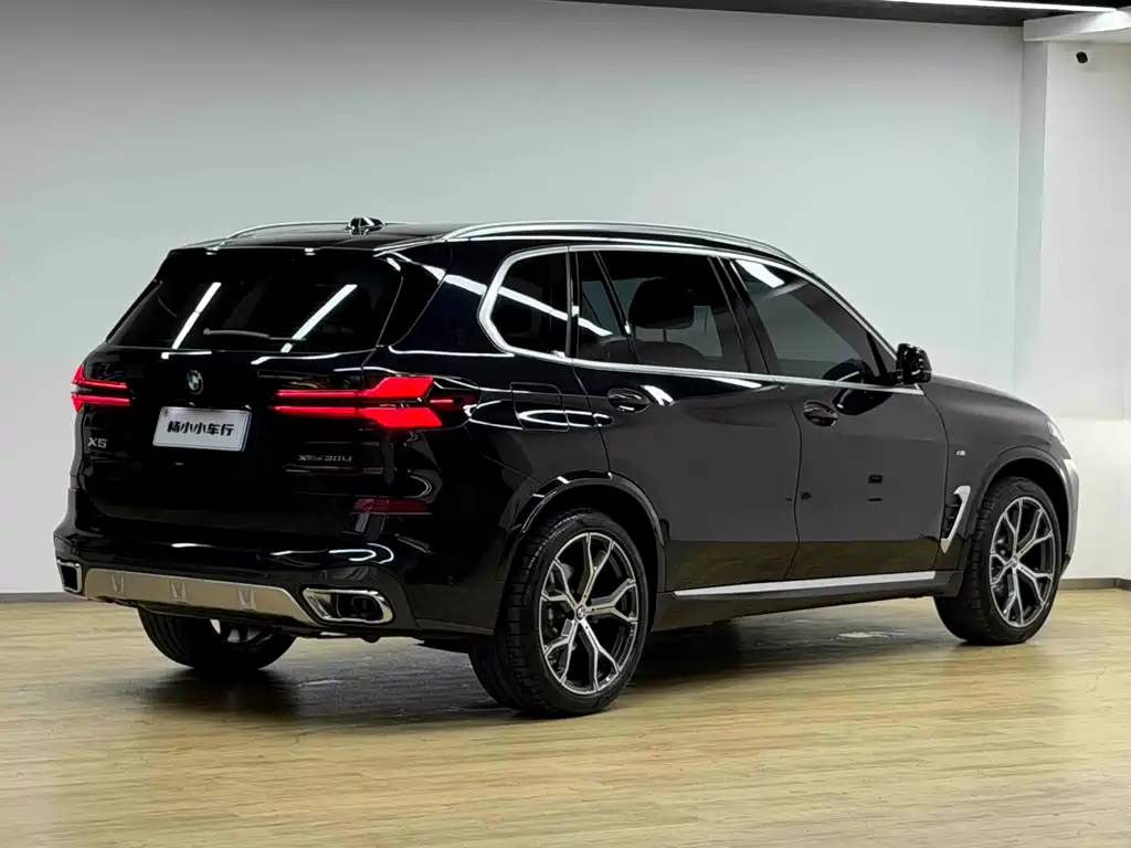 BMW X5 — миниатюра 30