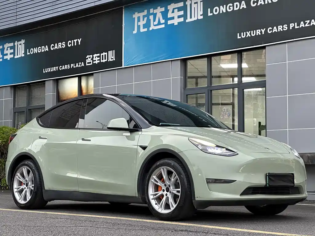 Tesla Model Y — миниатюра 2