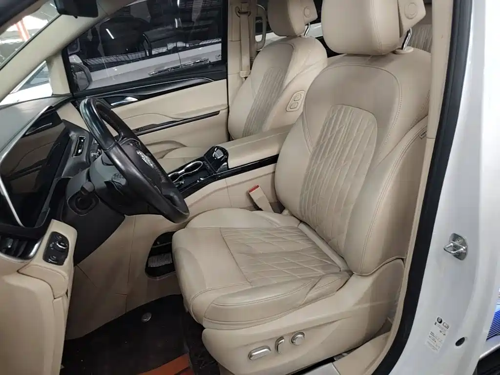 Buick GL8 — миниатюра 15