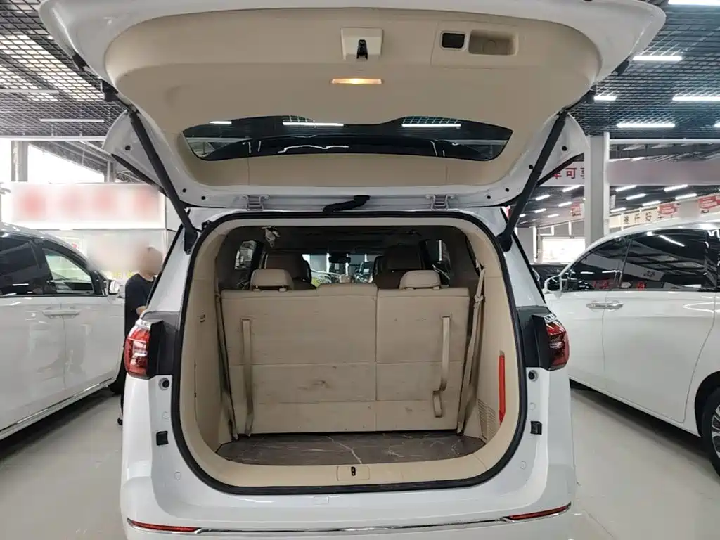 Buick GL8 — миниатюра 19