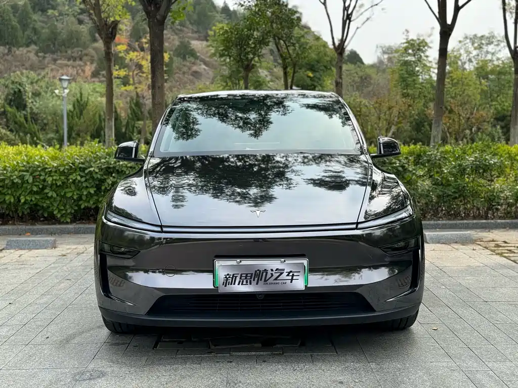 Tesla Model Y — миниатюра 2