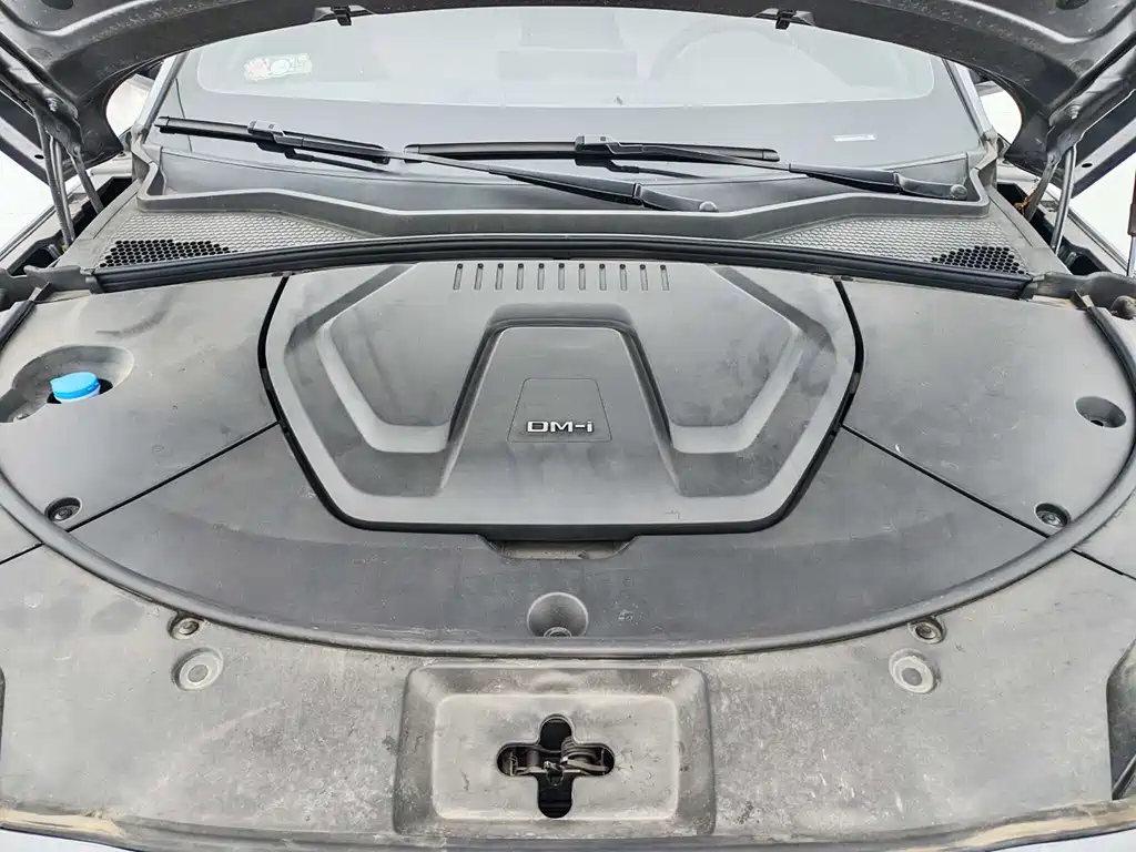 BYD SONGJIANG NEW ENERGY