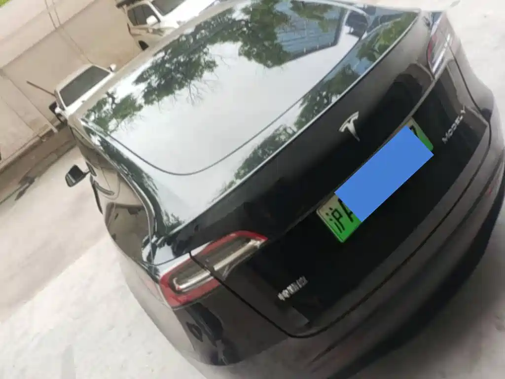Tesla Model Y — миниатюра 4