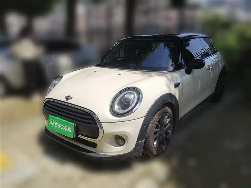 Mini Mini 2020