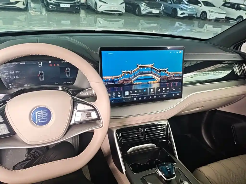 BYD Tang New Energy — миниатюра 10
