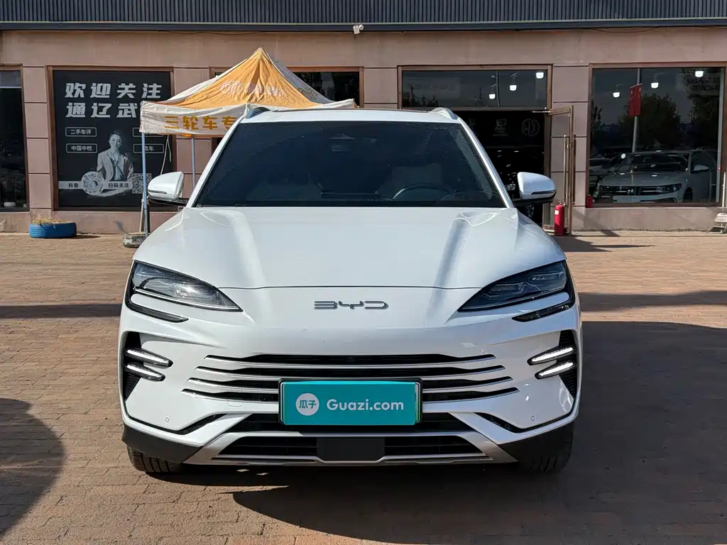 BYD PLUS New Energy — миниатюра 2