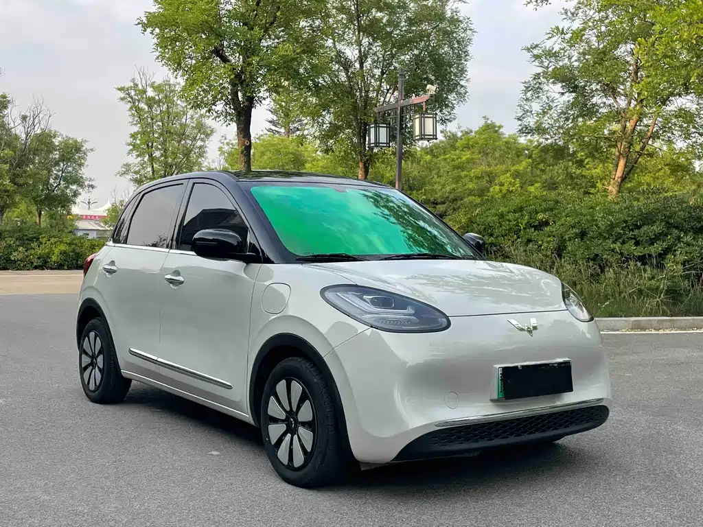 Wuling Bingo — миниатюра 19