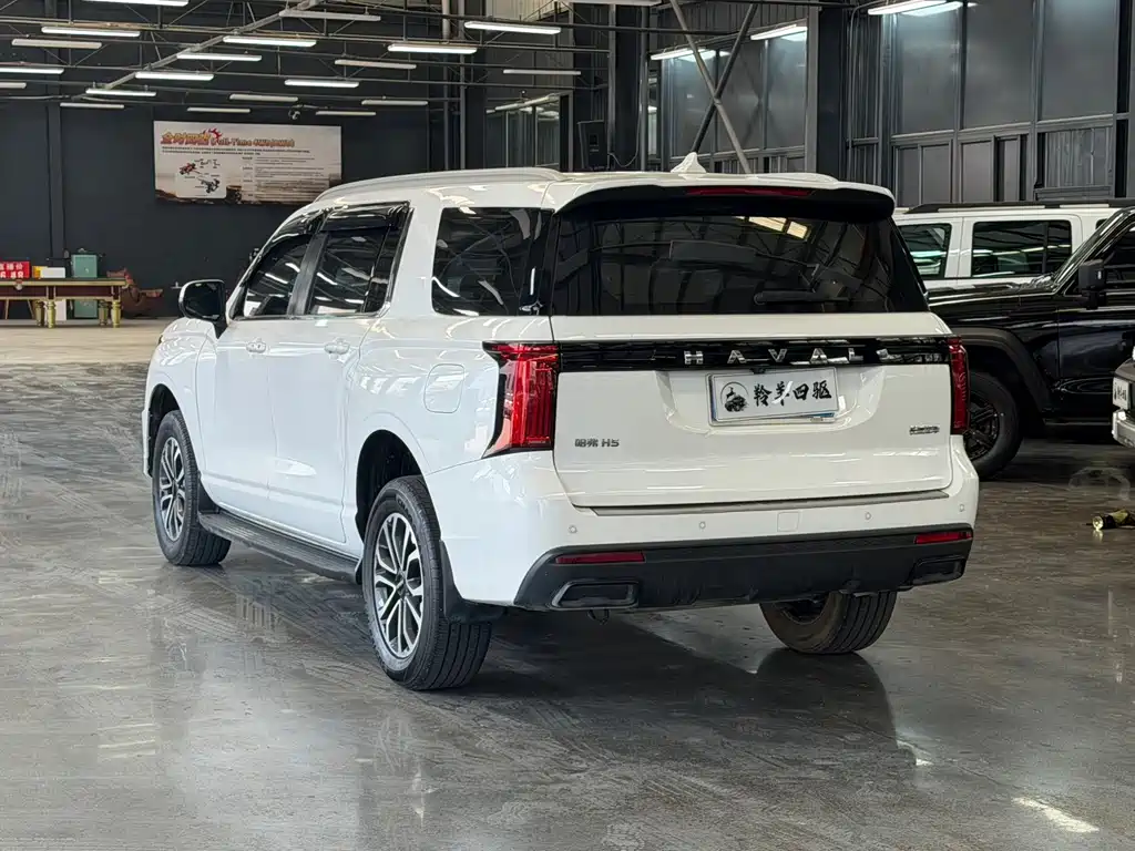 Haval H5 — миниатюра 13