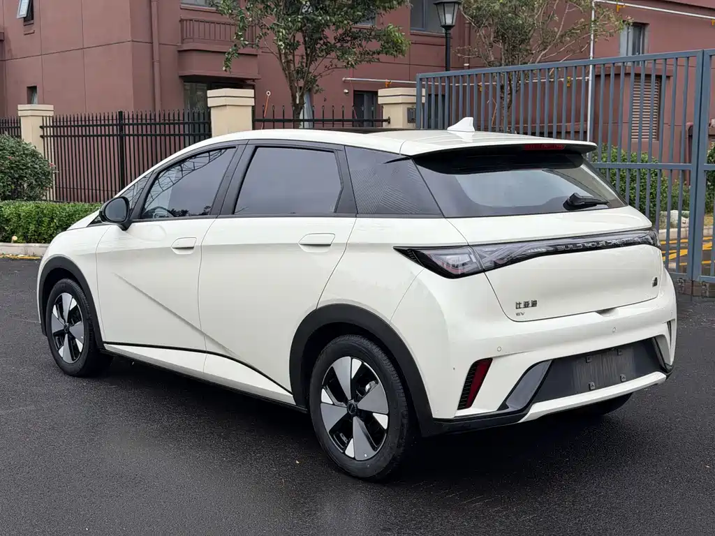 BYD Dolphin — миниатюра 7