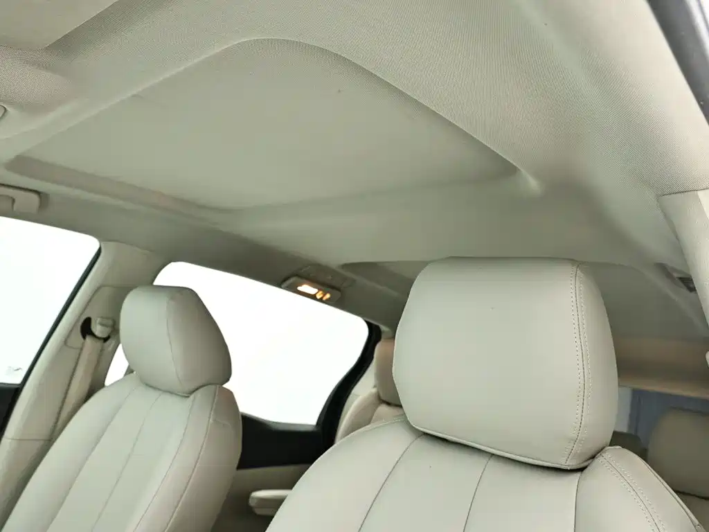 Buick GL8 — миниатюра 13