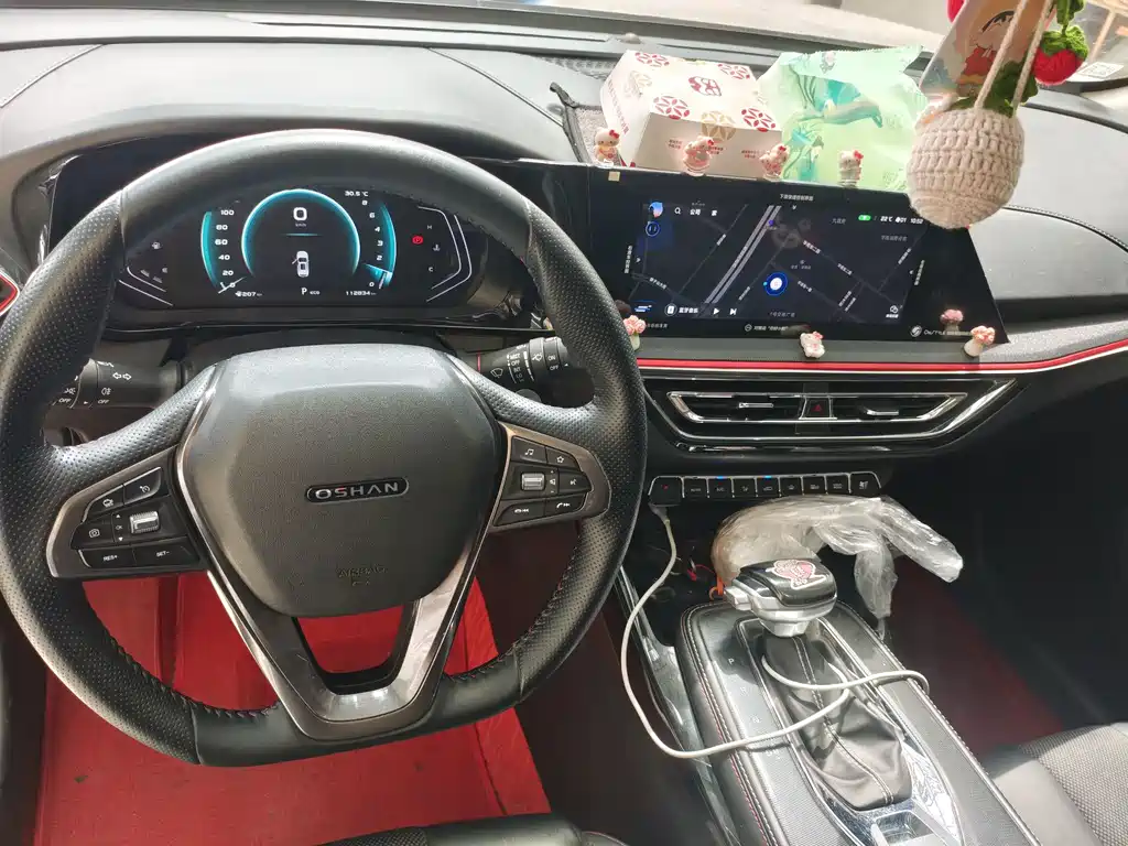 Oshan Oushang X5 — миниатюра 12