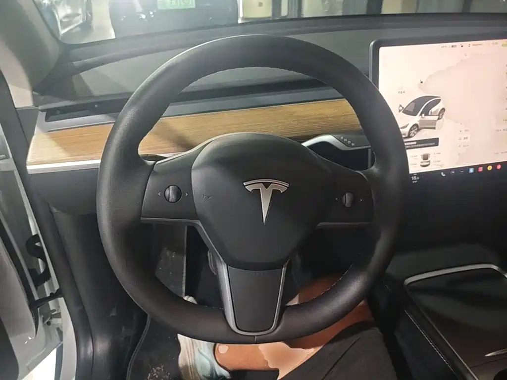 Tesla Model Y — миниатюра 11