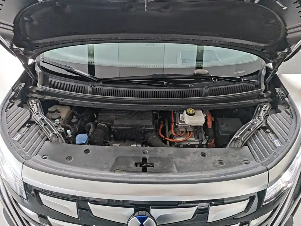 Denza Denza D9 — миниатюра 20