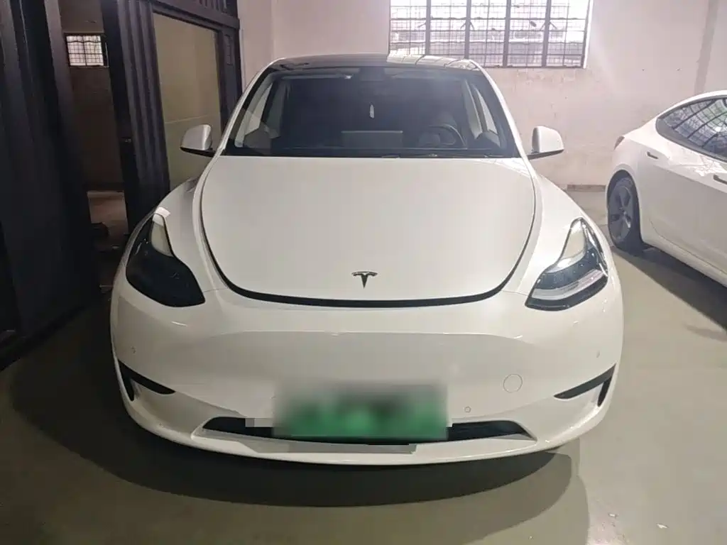 Tesla Model Y — миниатюра 3