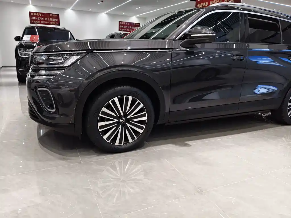 Volkswagen Tavendor — миниатюра 11