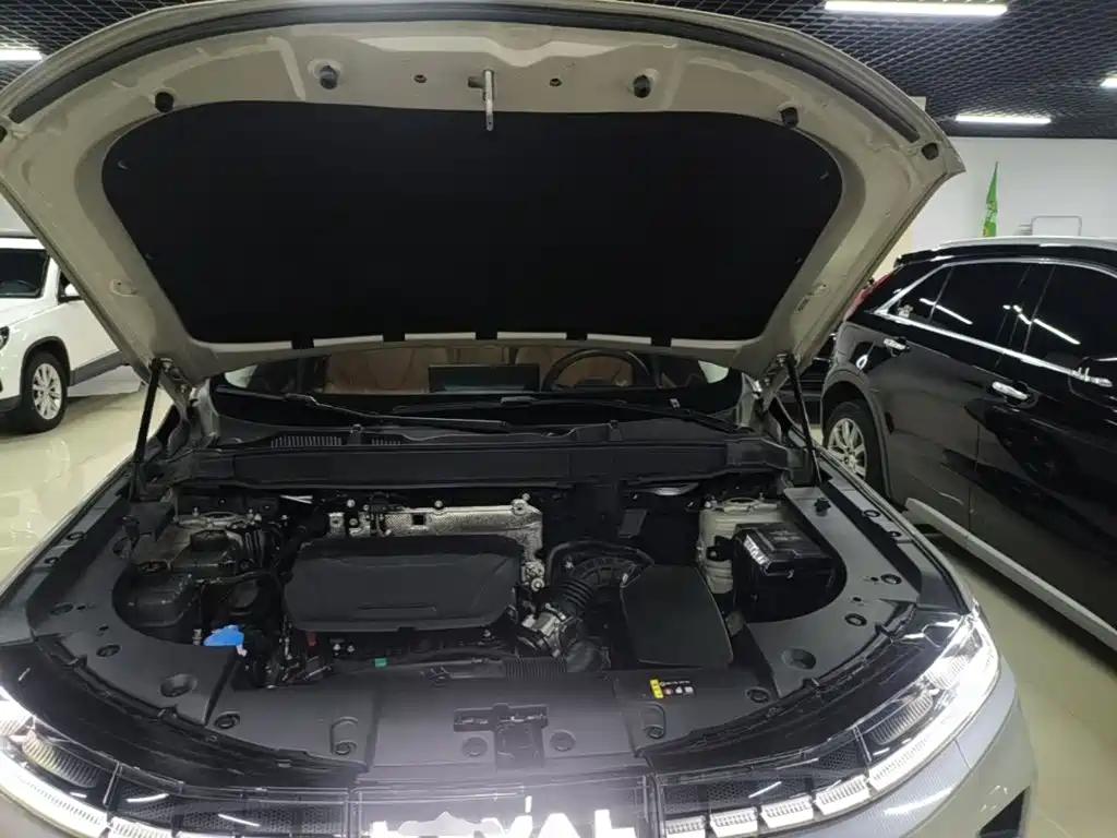 Haval Xiaolong MAX — миниатюра 20