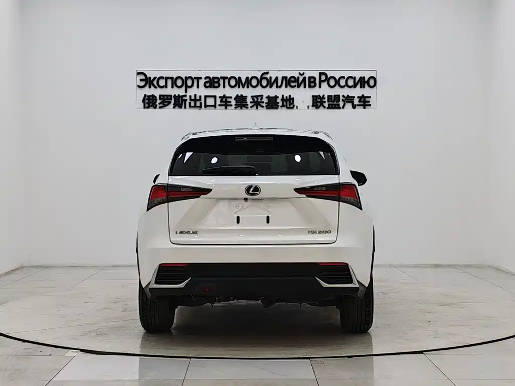 Lexus NX 2020 200 V