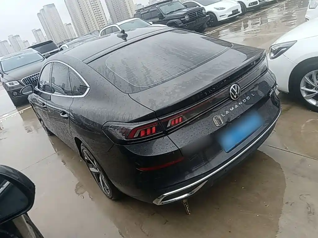 Volkswagen Lamando — миниатюра 5