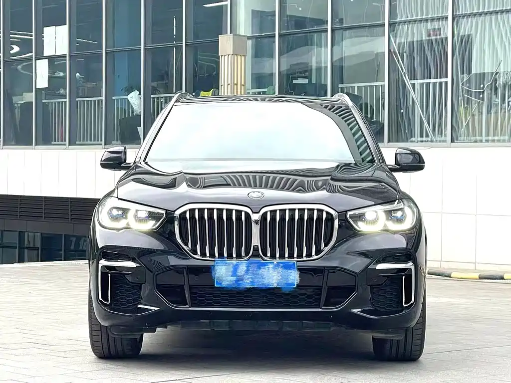 BMW X5 — миниатюра 2