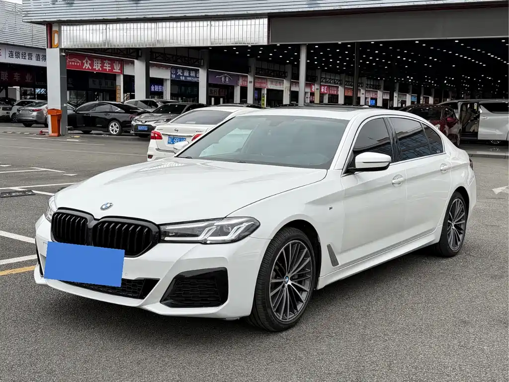 BMW 5 Series 2020