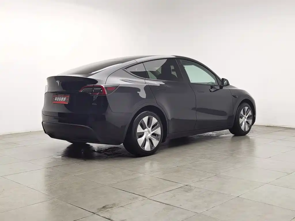 Tesla Model Y — миниатюра 2