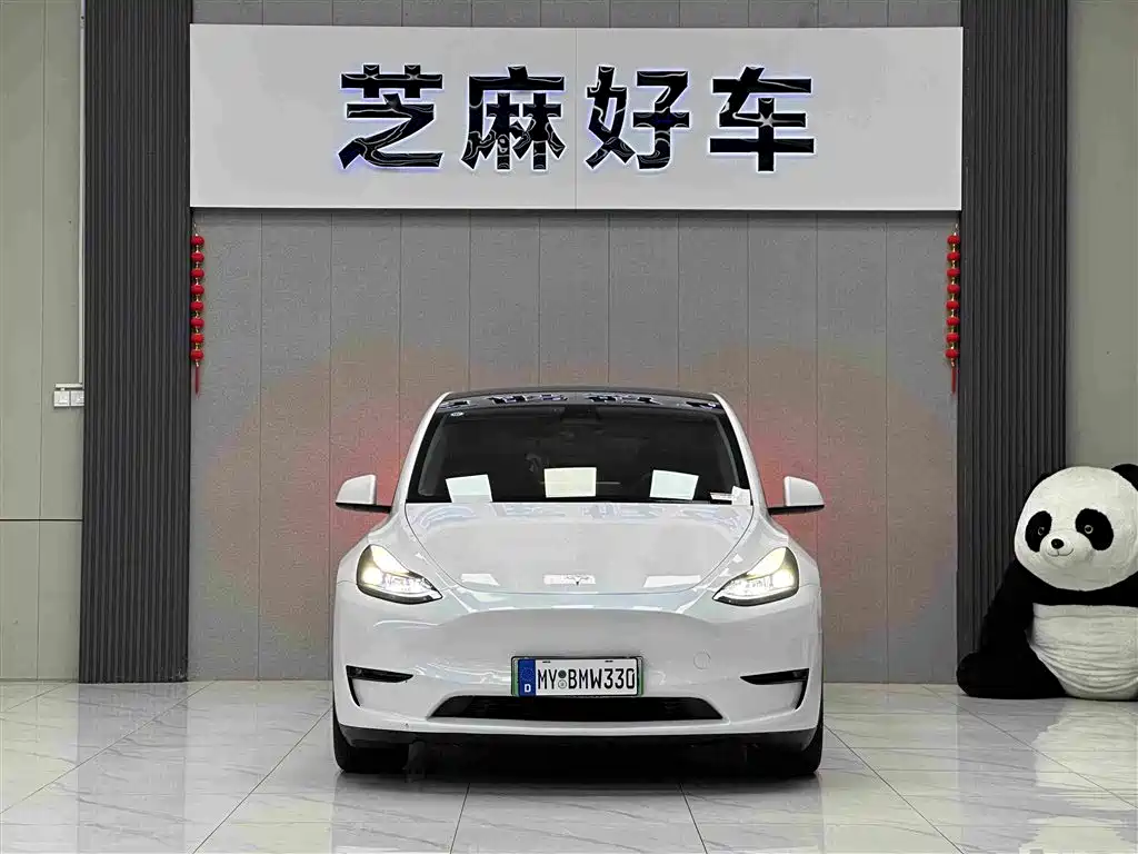 Tesla Model Y — миниатюра 2
