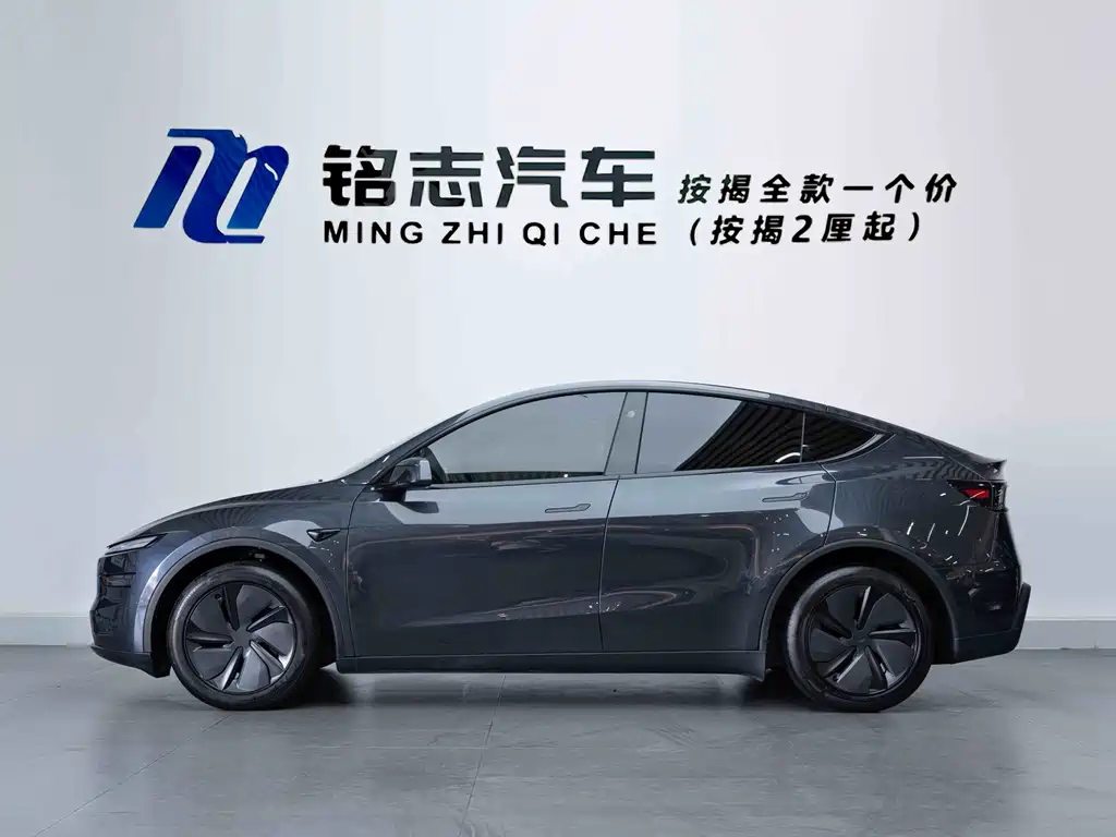 Tesla Model Y — миниатюра 5