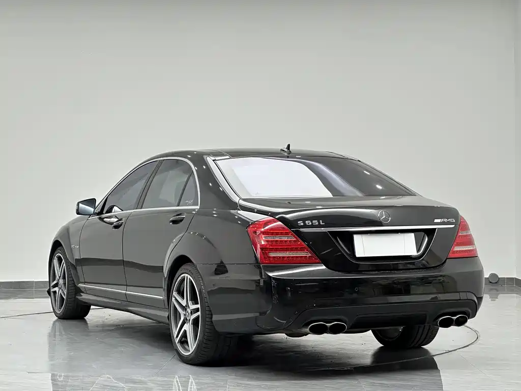 Mercedes-Benz S-Class A MG S AMG 2010 AMG S 65